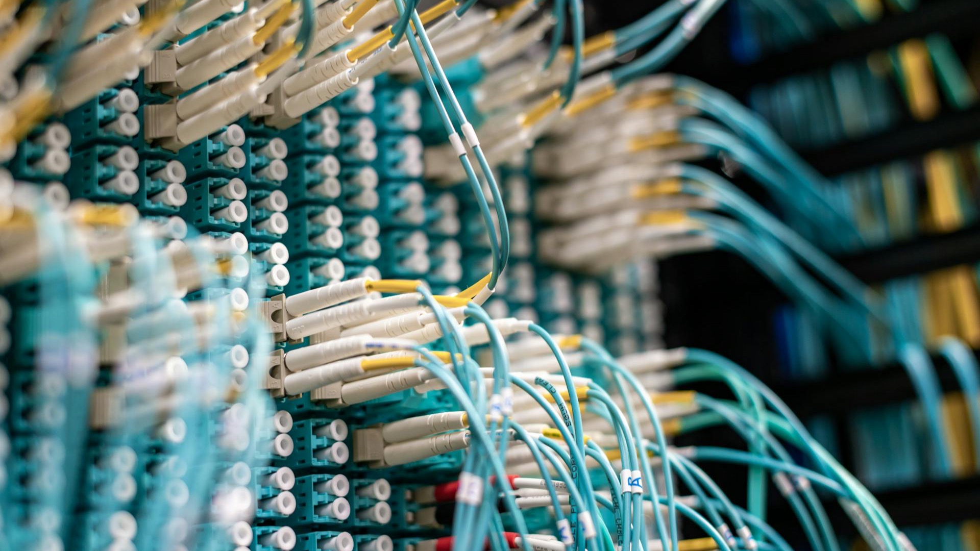 Sauber verkabelter Serverschrank mit Patchpanel und PoE-Switch